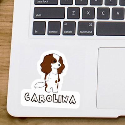 Autocollant Cavalier King Charles Spaniel Carolina Gift package Image