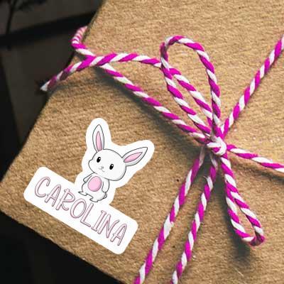 Carolina Autocollant Lapin Notebook Carolina Autocollant Lapin Gift package Image