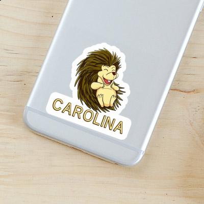 Autocollant Hérisson Carolina Notebook Autocollant Hérisson Carolina Gift package Image