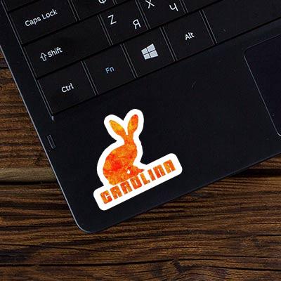 Sticker Rabbit Carolina Notebook Image
