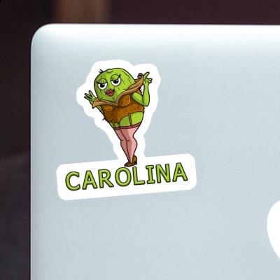 Kiwi Sticker Carolina Gift package Image