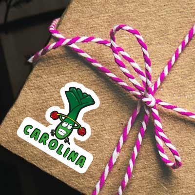 Aufkleber Carolina Lauch Gift package Image