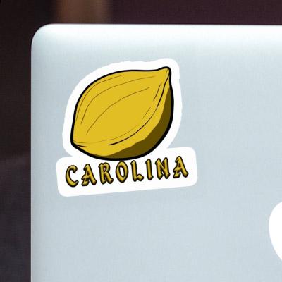Nut Sticker Carolina Notebook Nut Sticker Carolina Notebook Image
