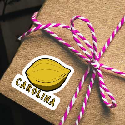 Nut Sticker Carolina Nut Sticker Carolina Image