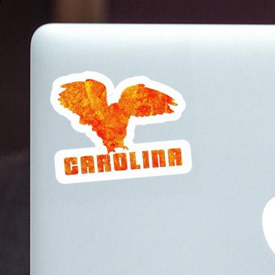 Eule Sticker Carolina Image