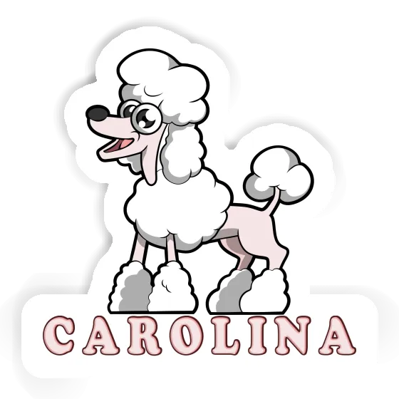 Carolina Sticker Poodle Gift package Image