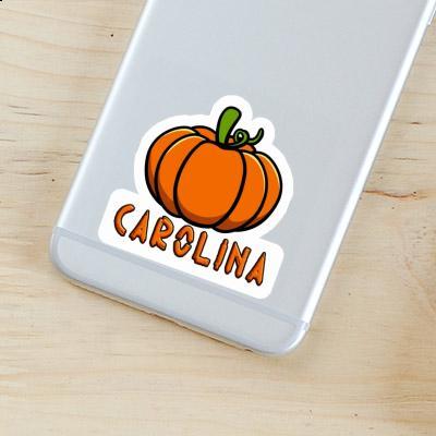Carolina Autocollant Courge Notebook Carolina Autocollant Courge Gift package Image