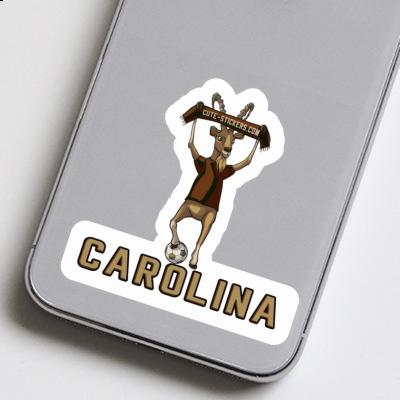 Carolina Autocollant Bouquetin Carolina Autocollant Bouquetin Image