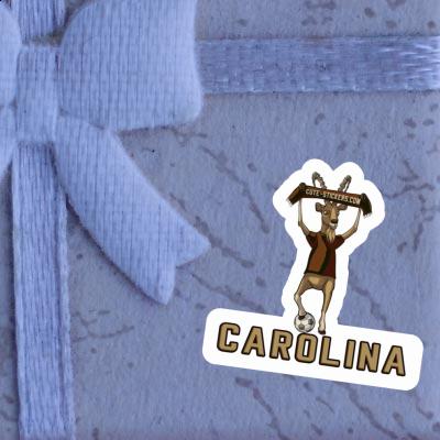 Capricorn Sticker Carolina Notebook Capricorn Sticker Carolina Notebook Image