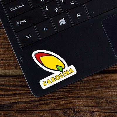 Sticker Carolina Surfbrett Gift package Image