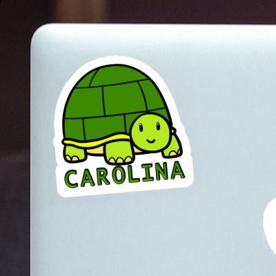 Turtle Sticker Carolina Notebook Turtle Sticker Carolina Gift package Image