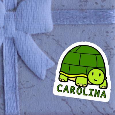 Turtle Sticker Carolina Turtle Sticker Carolina Image