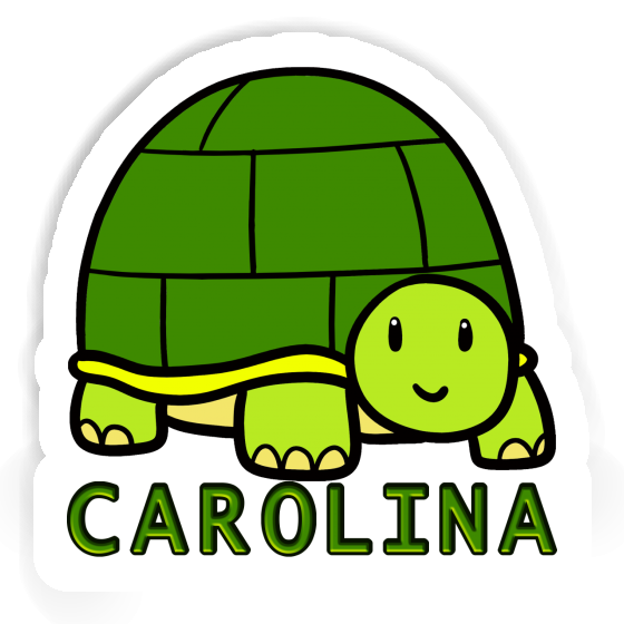 Tortue Autocollant Carolina Notebook Tortue Autocollant Carolina Gift package Image