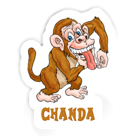 Sticker Chanda Gorilla Image