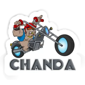 Sticker Hund Chanda Image