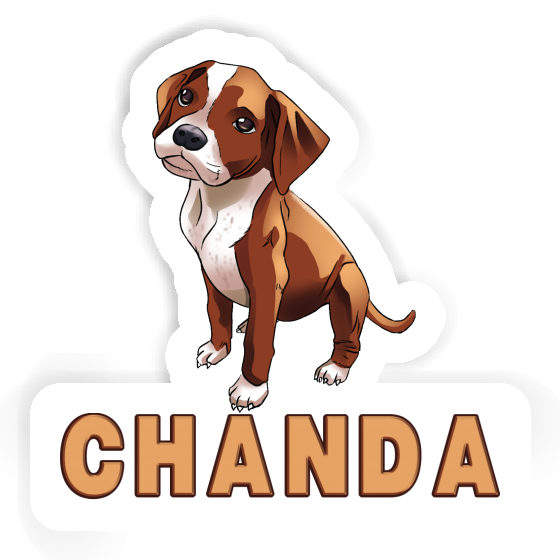 Boxerhund Aufkleber Chanda Notebook Boxerhund Aufkleber Chanda Gift package Image