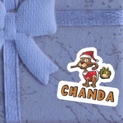 Chanda Sticker Cat Laptop Chanda Sticker Cat Laptop Image