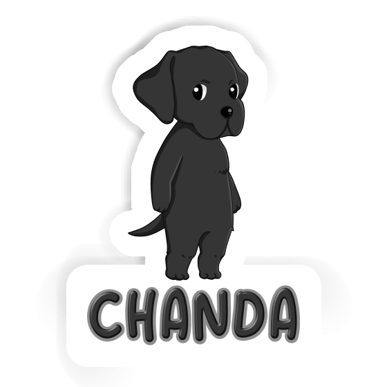 Aufkleber Chanda Labrador Notebook Aufkleber Chanda Labrador Notebook Image