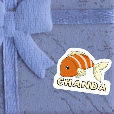 Chanda Sticker Fish Laptop Image