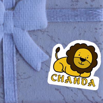 Aufkleber Chanda Löwe Notebook Image