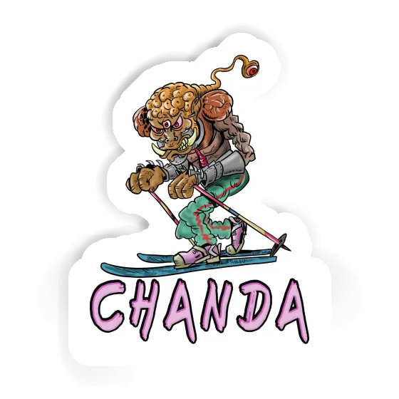 Sticker Telemark Skier Chanda Notebook Sticker Telemark Skier Chanda Gift package Image