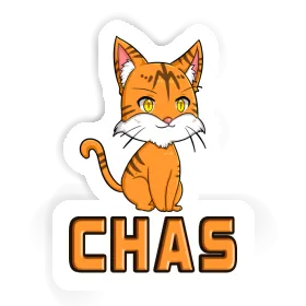 Chas Sticker Kitten Image