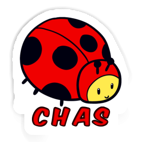 Chas Autocollant Coccinelle Image