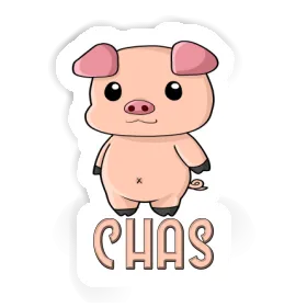Ferkel Aufkleber Chas Image