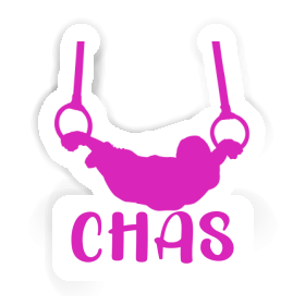 Sticker Ringturnerin Chas Image