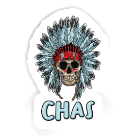 Tête de mort indien Autocollant Chas Image