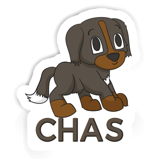 Chien de bouvier Autocollant Chas Chien de bouvier Autocollant Chas Image