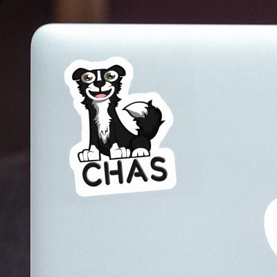 Autocollant Border Collie Chas Laptop Image
