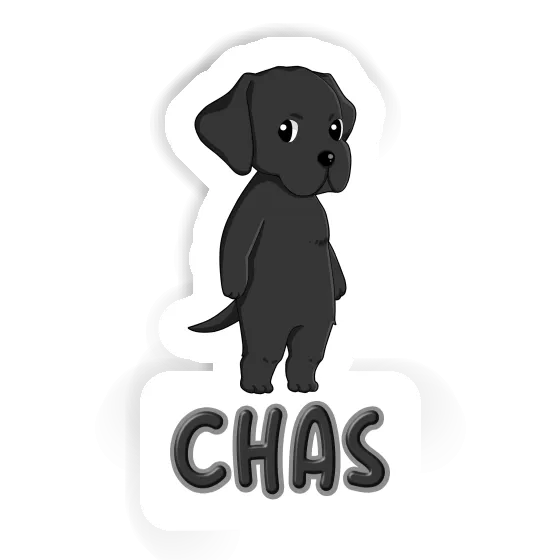 Labrador Autocollant Chas Image