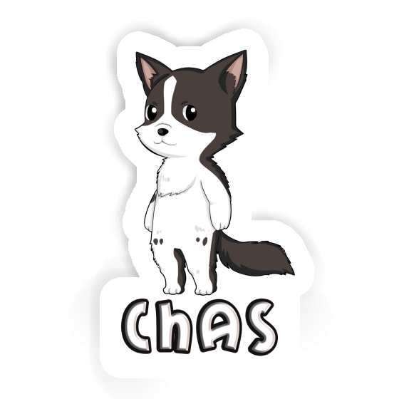 Autocollant Chas Collie border Gift package Image