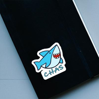 Shark Sticker Chas Gift package Image