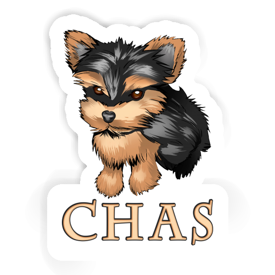 Sticker Yorkshire Terrier Chas Notebook Sticker Yorkshire Terrier Chas Gift package Image