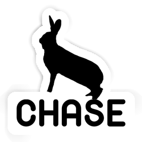 Autocollant Chase Lapin Image