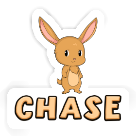 Lapin de Pâques Autocollant Chase Image