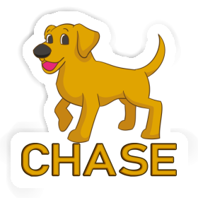 Autocollant Labrador Chase Image
