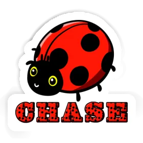Chase Autocollant Coccinelle Image