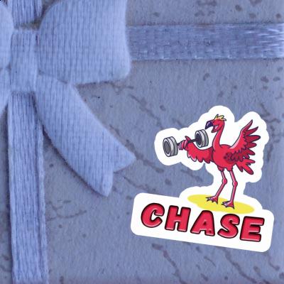 Autocollant Flamant rose Chase Image