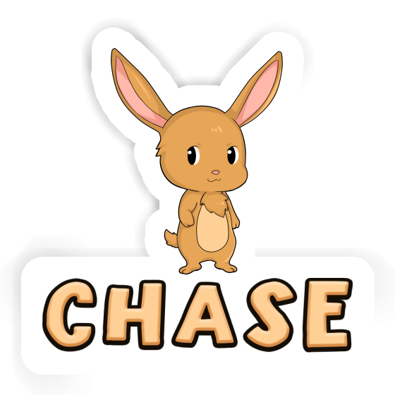 Lapin de Pâques Autocollant Chase Notebook Lapin de Pâques Autocollant Chase Gift package Image