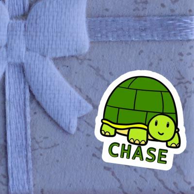 Sticker Chase Turtle Notebook Image