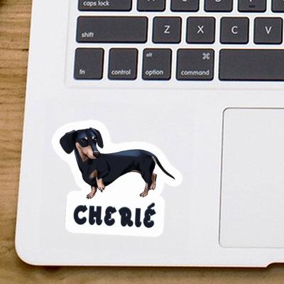 Cherie Sticker Dachshund Gift package Image