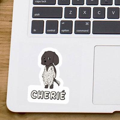 Cherie Sticker Small Munsterlander Laptop Image