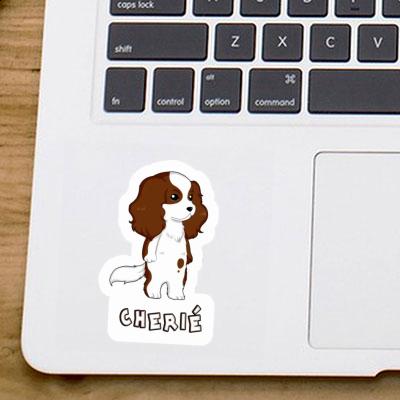 Cherié Autocollant Cavalier King Charles Spaniel Gift package Image