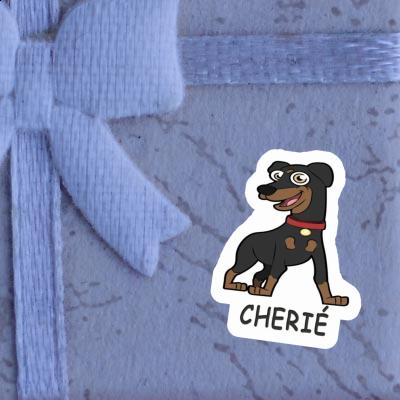 Sticker Cherie German Pinscher Notebook Image