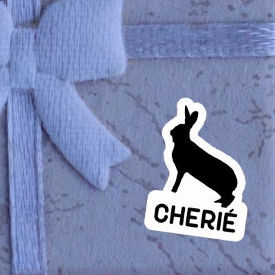 Rabbit Sticker Cherie Gift package Image