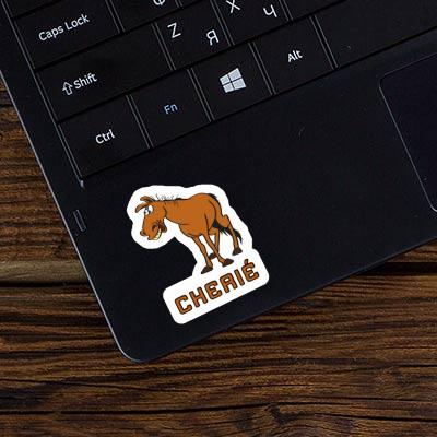 Sticker Cherie Horse Laptop Image