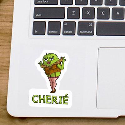 Cherie Aufkleber Kiwi Gift package Image